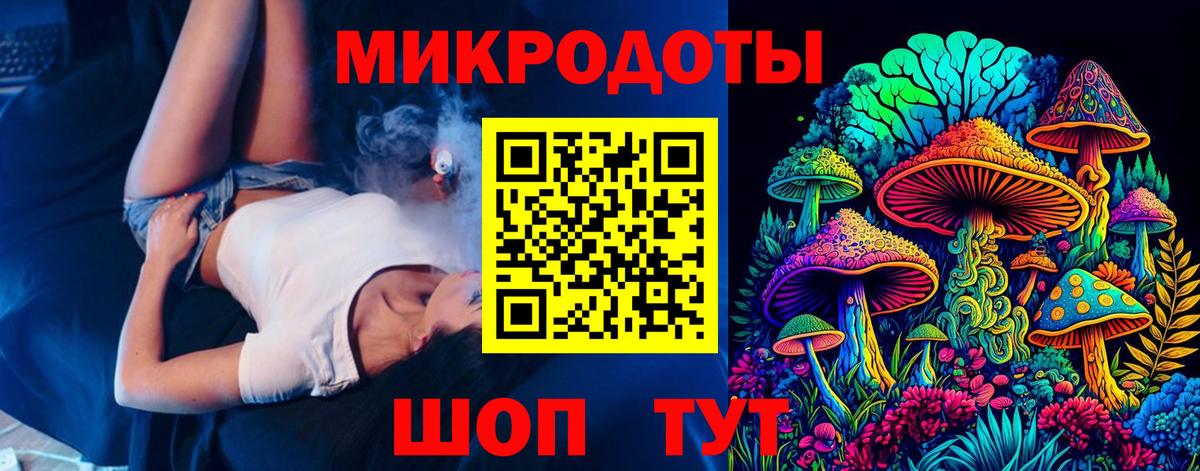 Псилоцибиновые грибы Cubensis Унеча