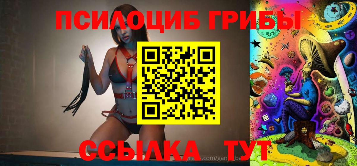 Псилоцибиновые грибы мицелий  Вход с VPN  Унеча  Галлюциногенные грибы прущие грибы 